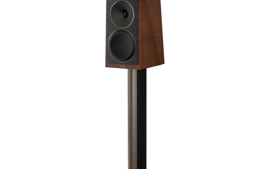 Paradigm Founder 40B